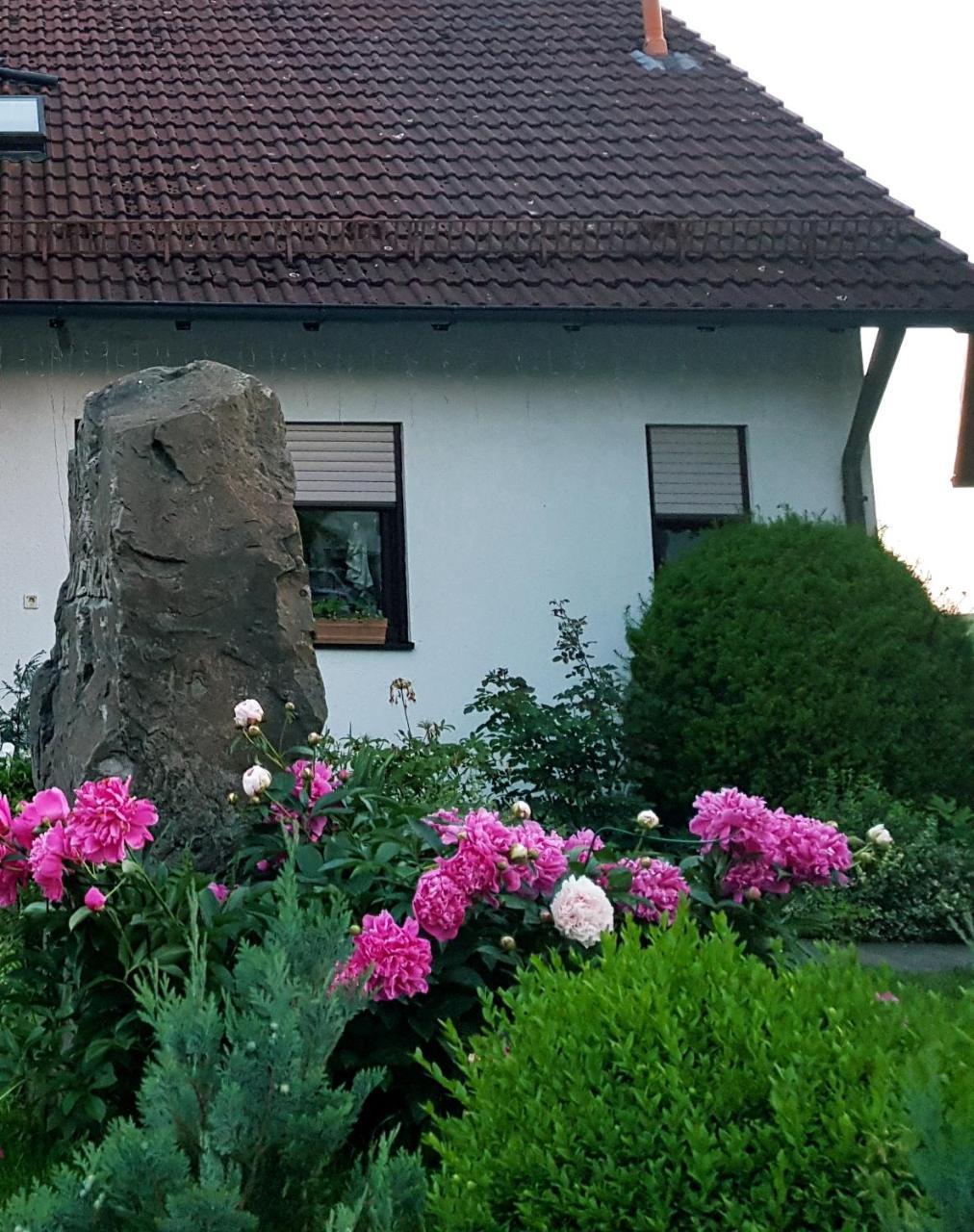 Pension Waldner Oberthulba Экстерьер фото